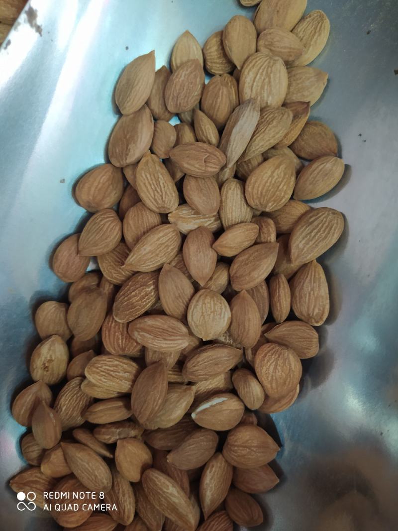 甜杏核干果新疆特产量大从优味道超好吃的