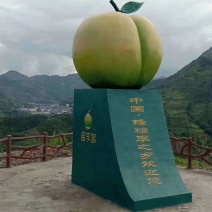 正宗蜂糖李苗四月李苗基地直发苗圃基地蜂糖李子苗南北方种植