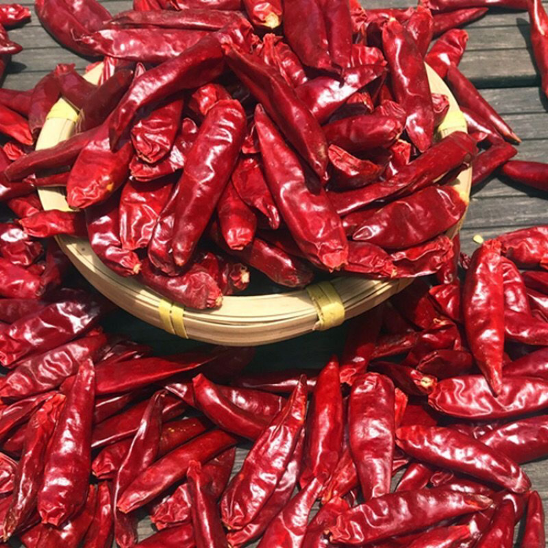 河南新一代辣椒段香辣火锅餐饮专供品质高口感好
