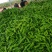 河南辣椒，夏邑301大椒，苏椒，线椒，大量有货，价格美丽