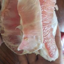 广东梅州柚子之乡，红柚产地一手货源直发，果靓肉甜