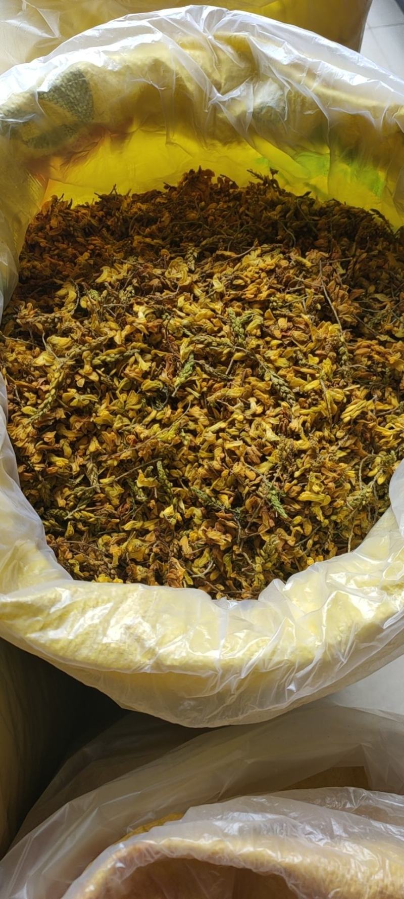 黄花倒水莲花茶，寻找代理商