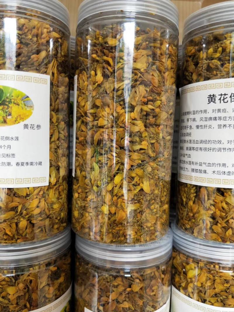 黄花倒水莲花茶，寻找代理商