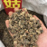 山茨菇一手货源产地直销