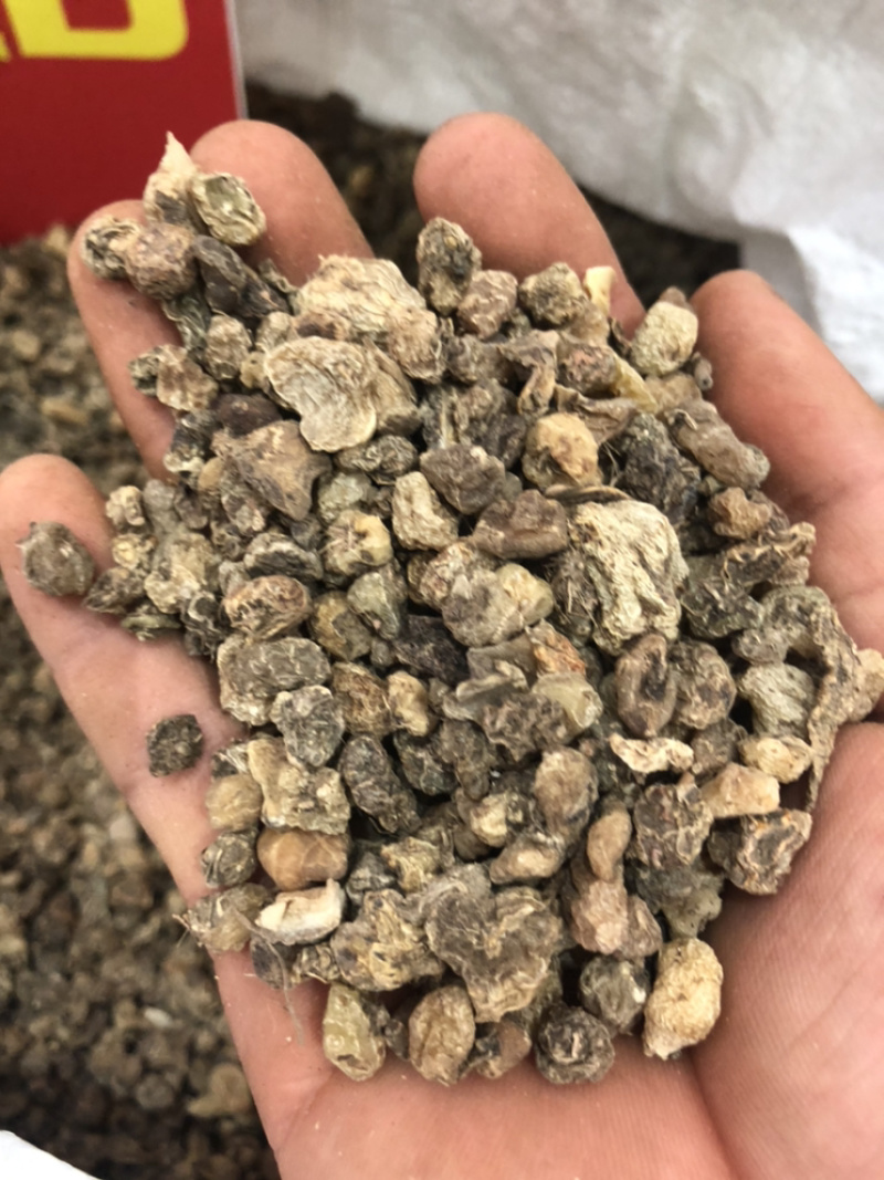 山茨菇一手货源产地直销