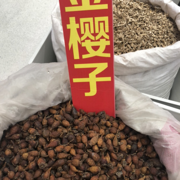 金樱子一手货源产地直销