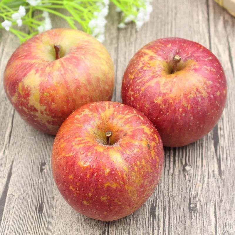 冰糖心苹果树苗优质嫁接苹果树苗脆甜可口量大从优