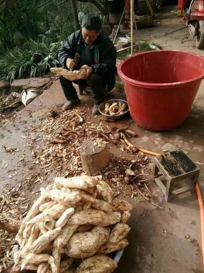 野生葛根粉，寻找批发商