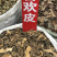 合欢皮一手货源产地直销