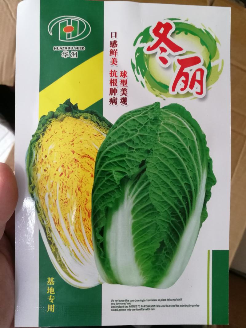 【优质】冬丽黄中皇大白菜种子产量高品质好