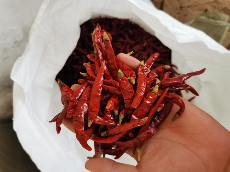 【可切段】干辣椒魔鬼辣印度辣椒段，巨辣，品种多样