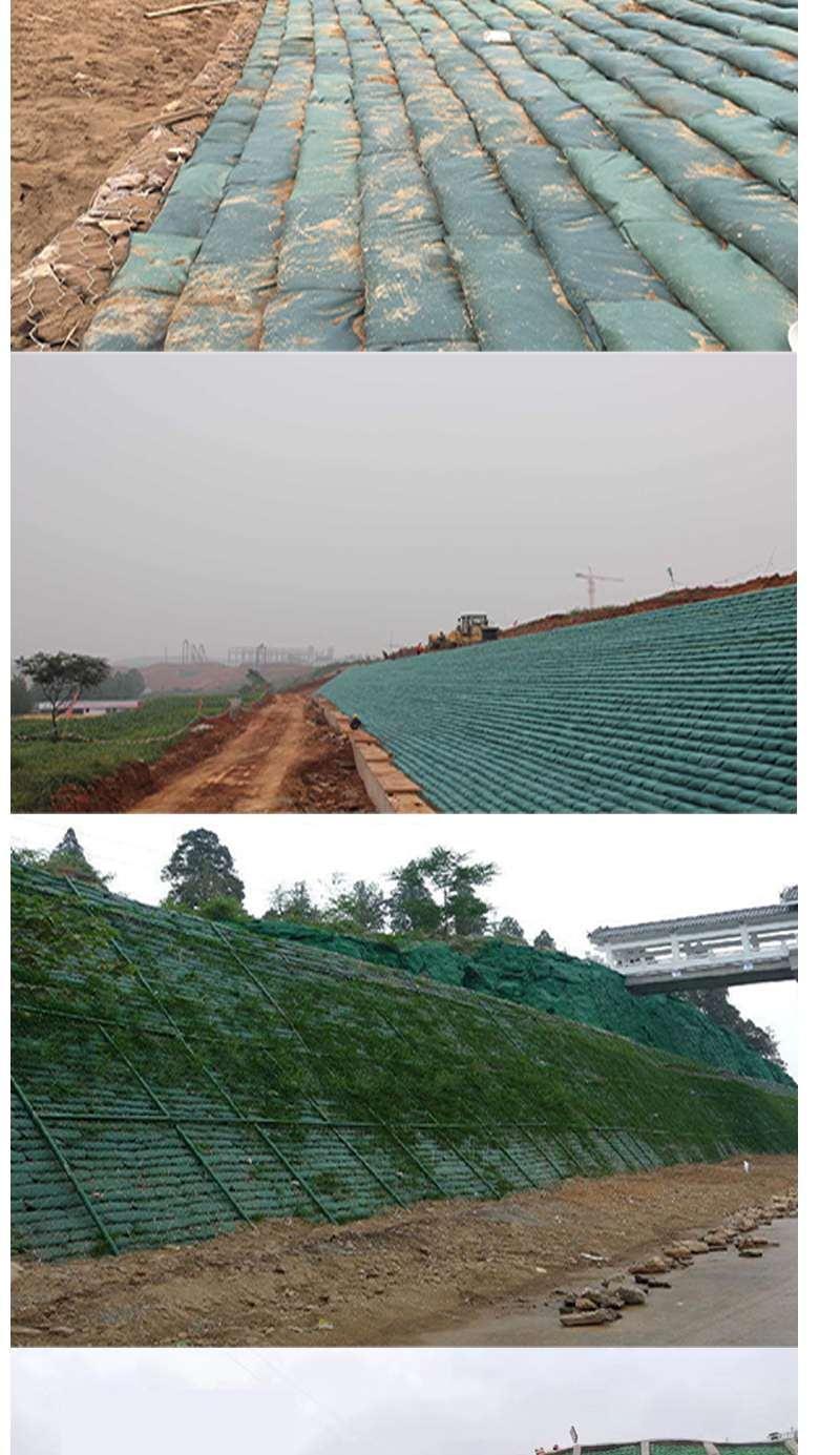 生态袋长丝生态袋生态袋护坡边坡治理专业生产厂家