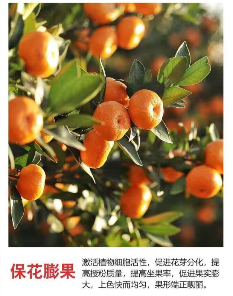 矿源黄腐酸钾冲施肥水溶肥桶肥高钾水溶肥高钾冲施肥黄腐酸钾