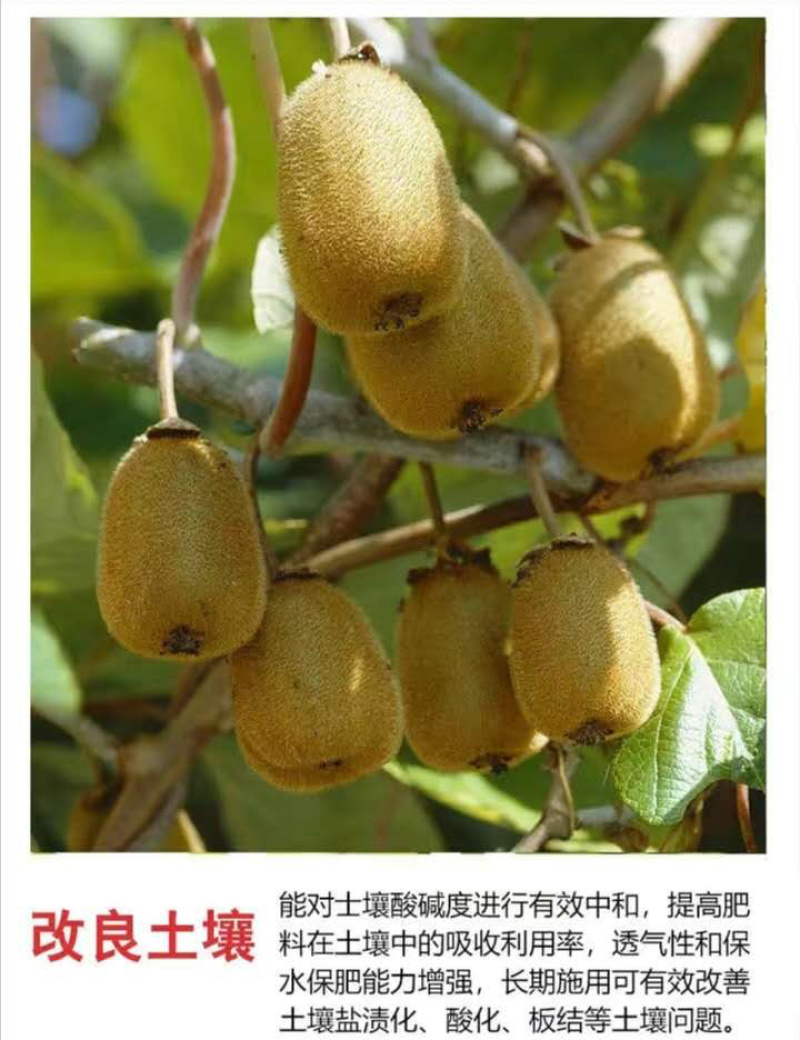矿源黄腐酸钾冲施肥水溶肥桶肥高钾水溶肥高钾冲施肥黄腐酸钾