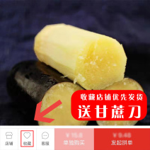 广西黑皮甘蔗当天现砍现发一件一手货源5—10斤箱装