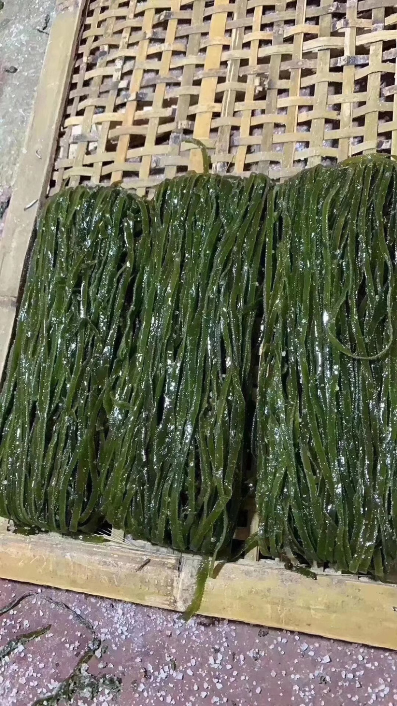 跑量特级海带丝卖相好干度好价格优