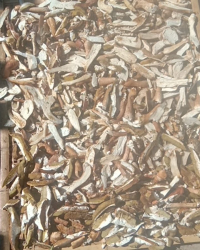 野生食用菌货真价实在
