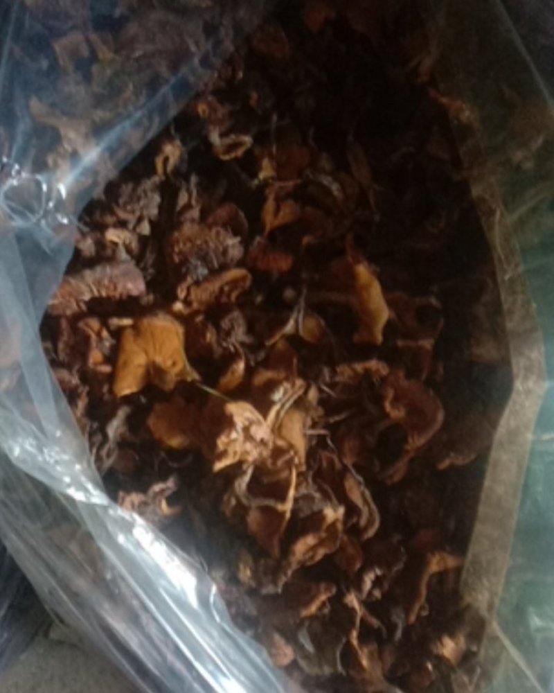 野生食用菌货真价实在
