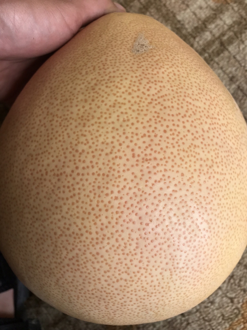 三红柚红心柚黄肉都有皮毛干净口感好水分足。