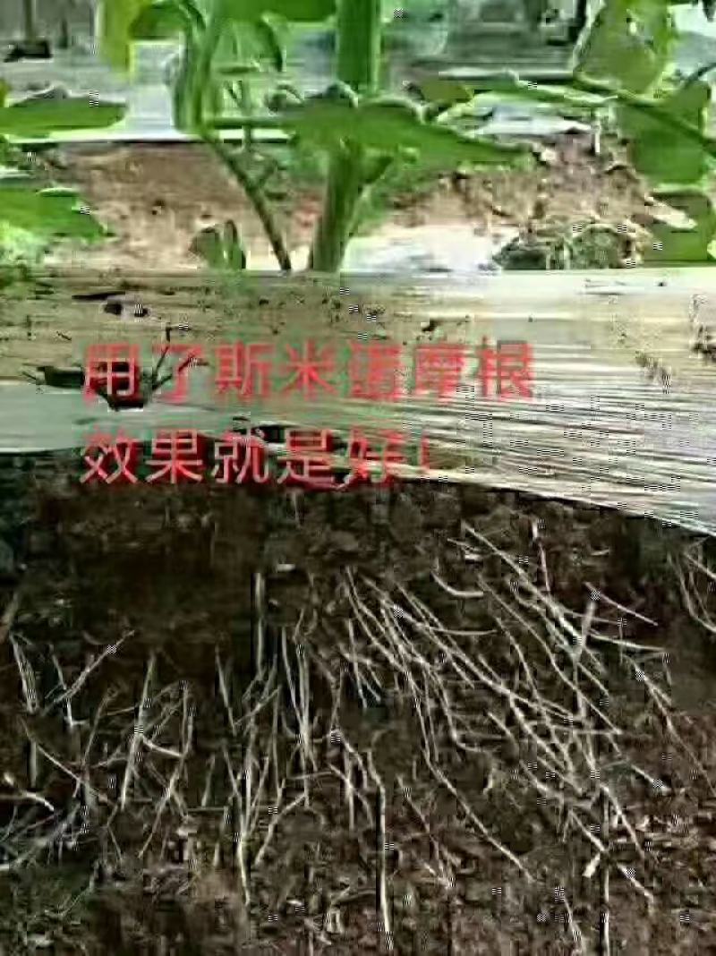生根肥含氨基酸腐植酸冲施肥，专业生根