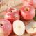 烟台红富士苹果树苗优质嫁接苹果树苗品种齐全量大从优