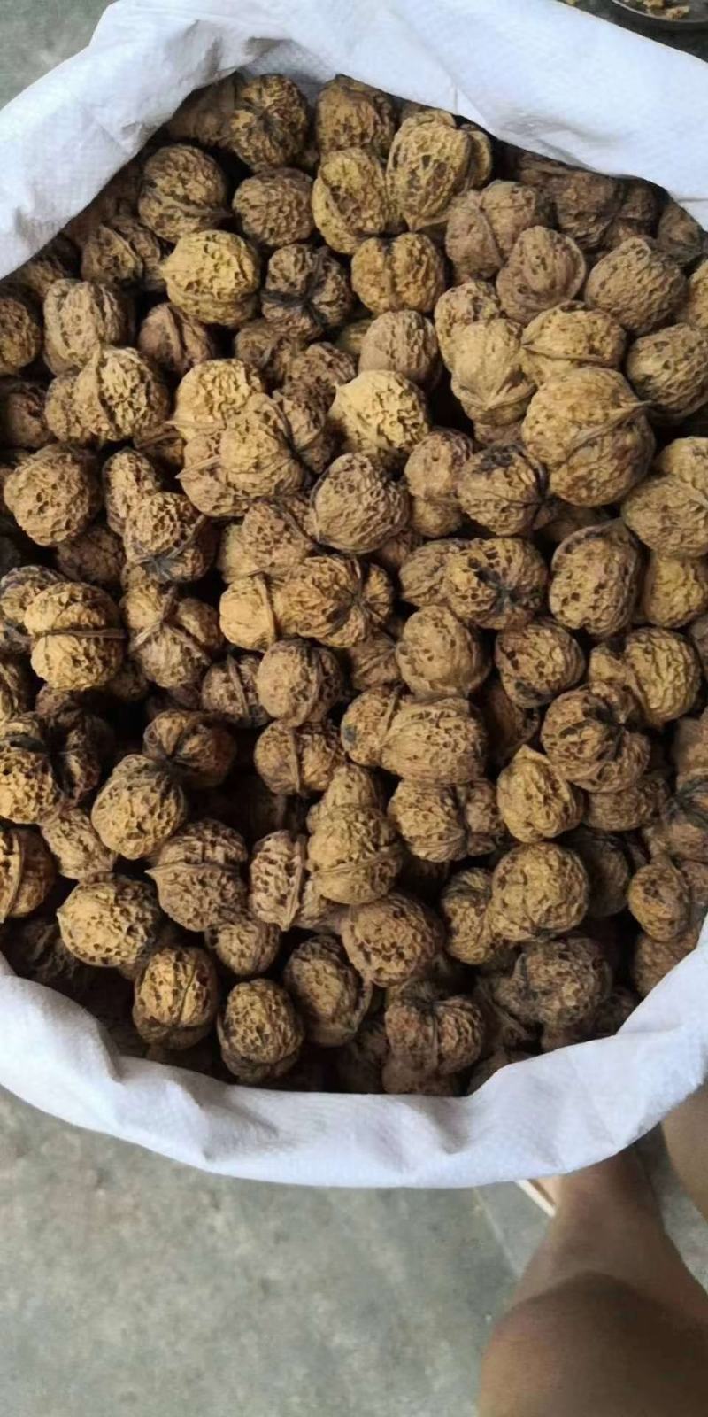 跑江湖地摊云南麻子核桃今年新货，地摊产品