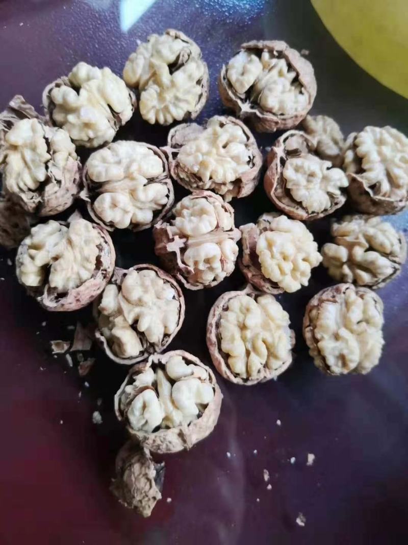 跑江湖地摊云南麻子核桃今年新货，地摊产品