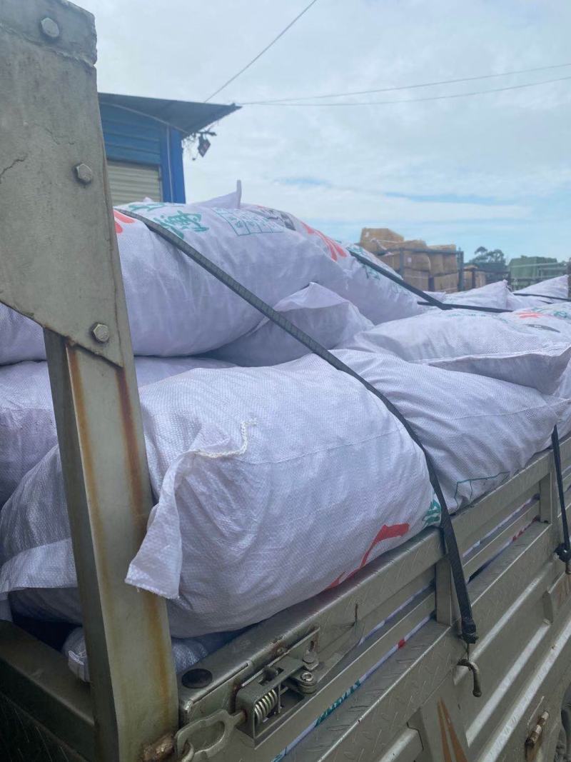 跑江湖地摊云南麻子核桃今年新货，地摊产品