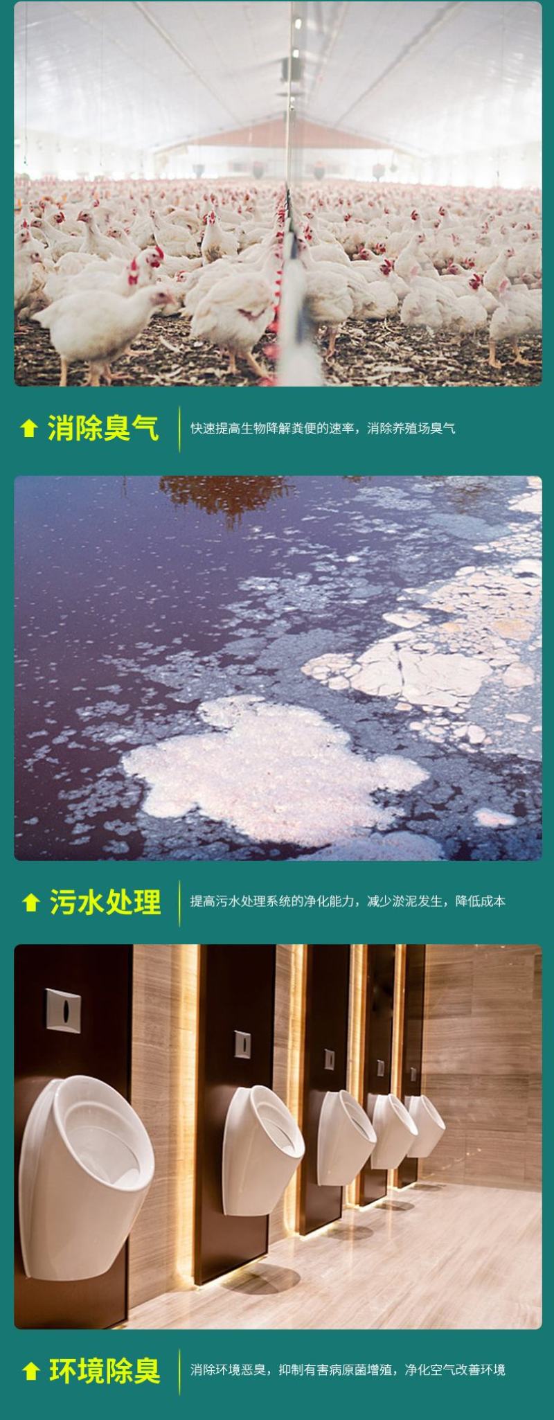 微生物除臭剂快速分解恶臭气体无毒无害鸡粪粪便分解发酵除臭