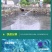 微生物除臭剂快速分解恶臭气体无毒无害鸡粪粪便分解发酵除臭