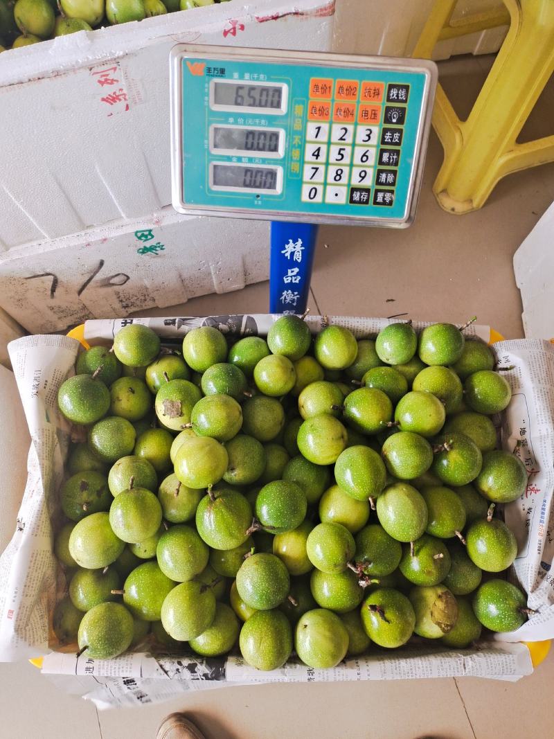 壮乡蜜宝蜂蜜味维蜜黄金百香果产地直供批发一件代发可开发票