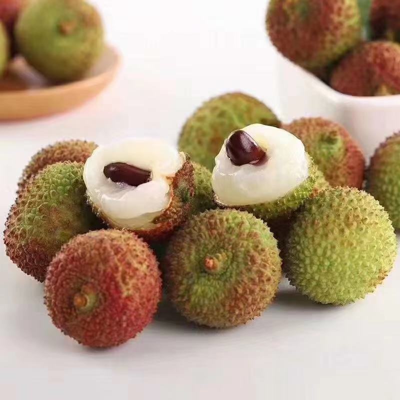 妃子笑，桂味，香荔，无核荔，三月红荔枝苗产地批发零售