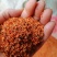 桂花干促销图片实物自然风干可用药可做茶一斤起批量大从优