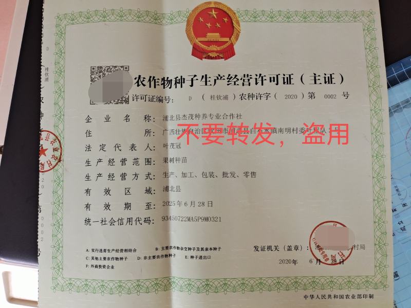 妃子笑，桂味，香荔，无核荔，三月红荔枝苗产地批发零售