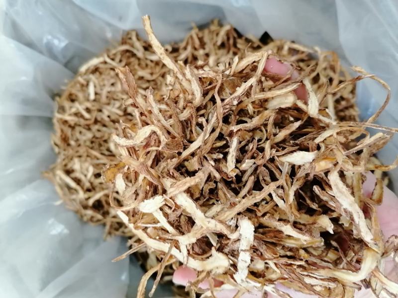 当归全归片中节片中药材甘肃批发零售各种规格中药材
