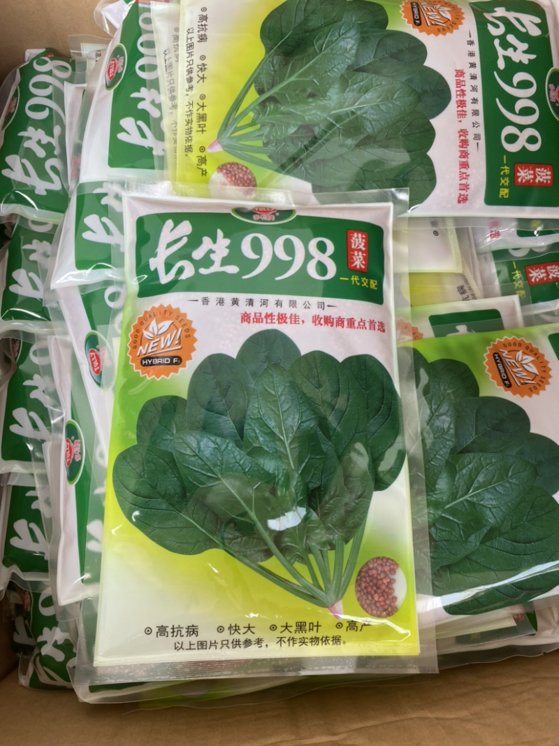 菠菜种，优质菠菜种，172优质品种，品种保证