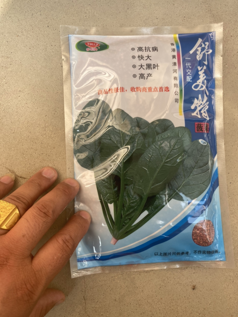 菠菜种，优质菠菜种，172优质品种，品种保证