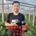 茄子圆茄子精品大量上市产地直销。合作共赢。