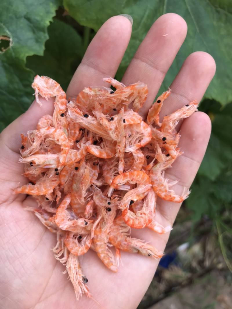自晒虾皮樱花虾皮水晶虾皮樱花虾米招代理一件代发