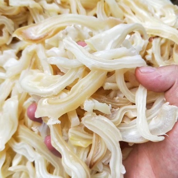 优质牛耳丝品质保证凉拌菜的优质原料
