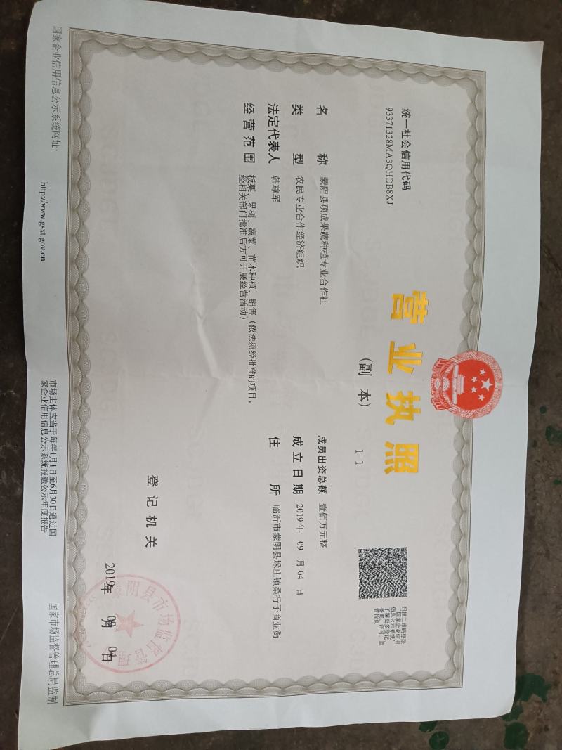 宋家早大量上市，望广大栗友理性采购，莫错过发大财好机会！
