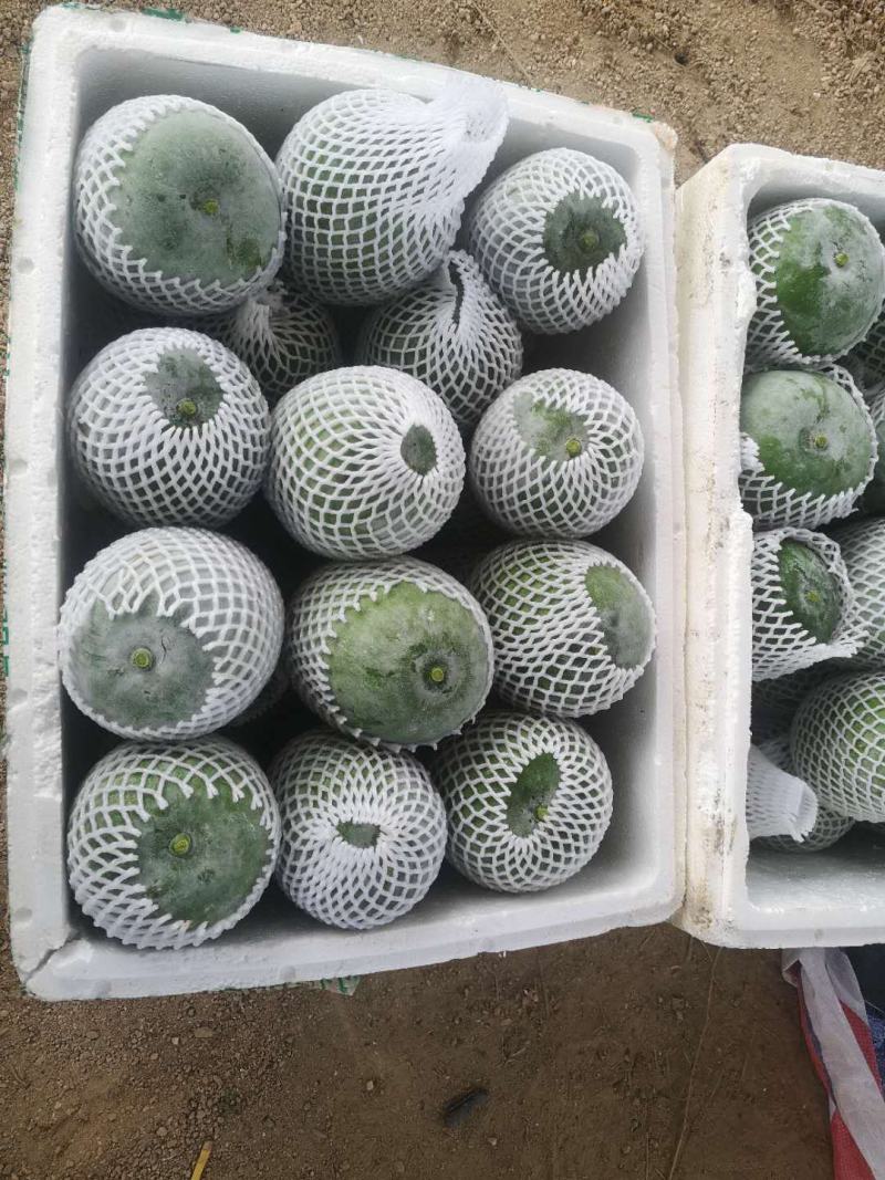 丝瓜冬瓜会累死人。。。。