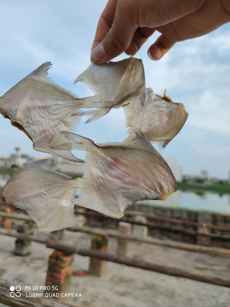 北海特产白鲳鱼干货小白鲳鱼干小鱼干