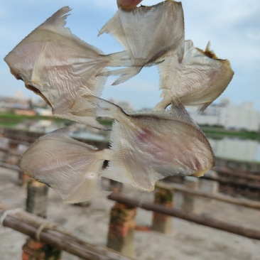 北海特产白鲳鱼干货小白鲳鱼干小鱼干
