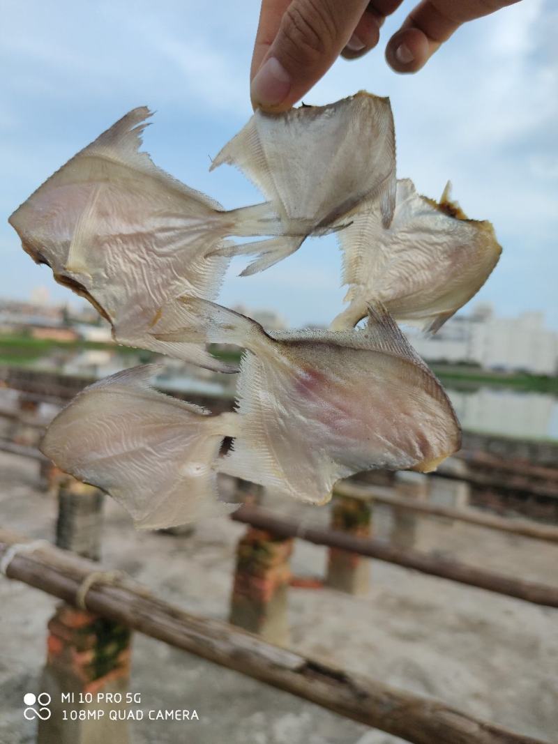 北海特产白鲳鱼干货小白鲳鱼干小鱼干
