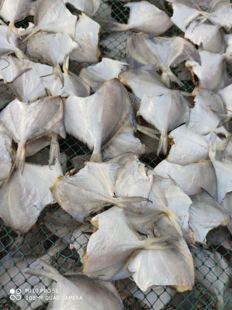 北海特产白鲳鱼干货小白鲳鱼干小鱼干