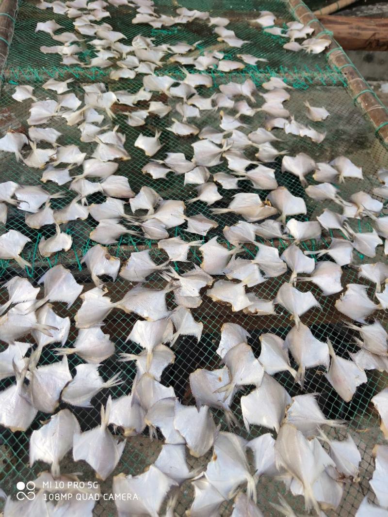 北海特产白鲳鱼干货小白鲳鱼干小鱼干