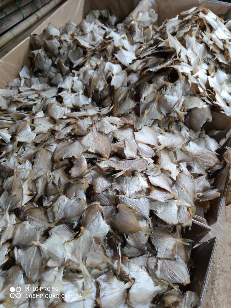 北海特产白鲳鱼干货小白鲳鱼干小鱼干