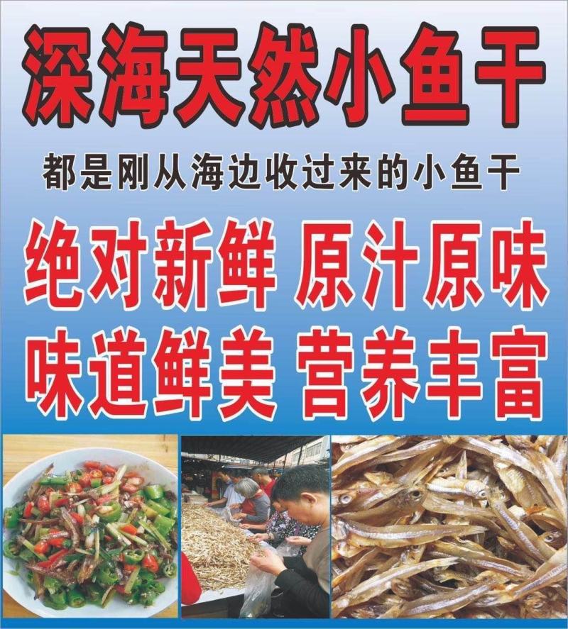 公鱼干深海天然小鱼干丁香小鱼干生晒小鱼干跑江湖地摊展