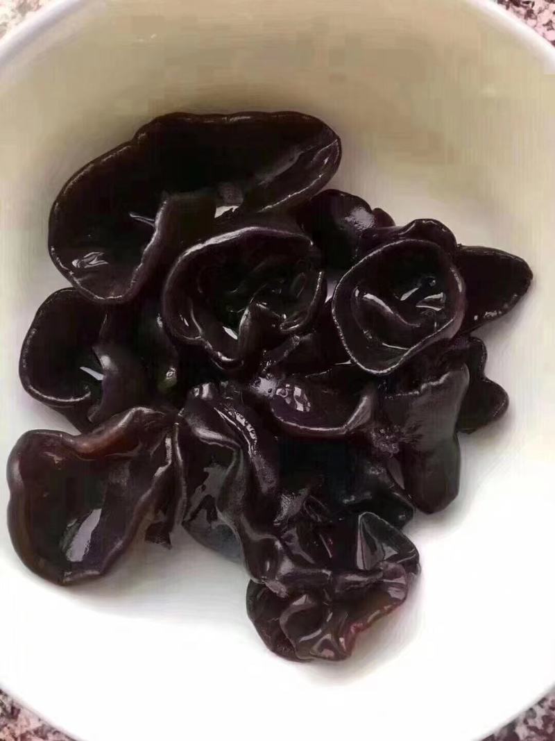 黑木耳东北特产新货东北特产黑木耳干货长白山秋木耳小碗